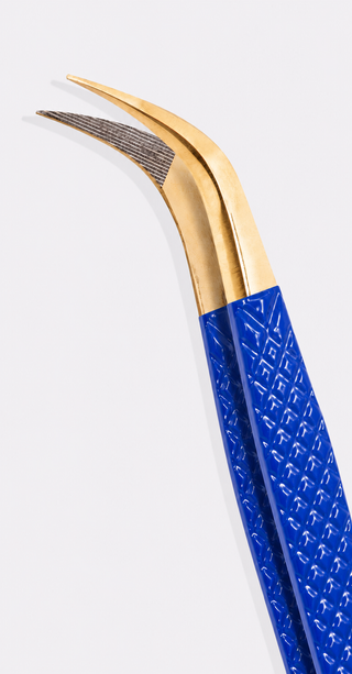 Morpho Blue (Fanning Tweezer)
